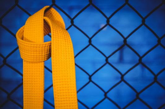 BJJ Belt Lineage: Why It Matters and What to Look For