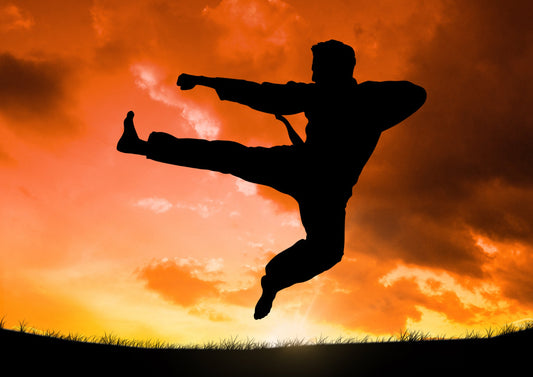 Jiu-Jitsu vs Kung Fu: Which Martial Art Is More Effective in a Fight?