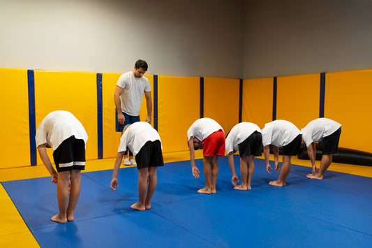 Top 10 Reasons Why Brazilian Jiu Jitsu is the Best Martial Art