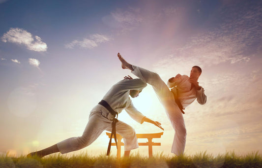 What is Brazilian Jiu-Jitsu? A Complete Guide to BJJ