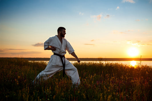 Why Did BJJ Become the New Karate?
