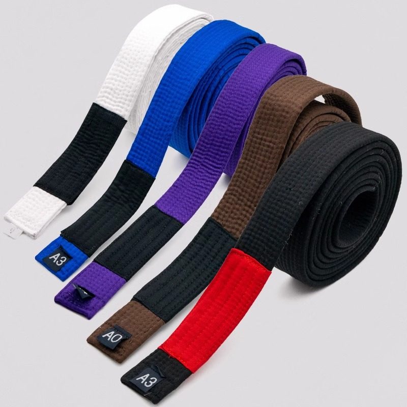 Professional BJJ Rank Belt