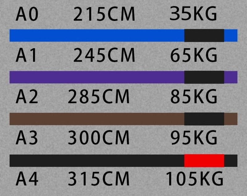 Professional BJJ Rank Belt